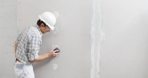 Best Drywall Removal and Disposal  in Hamilton, MT